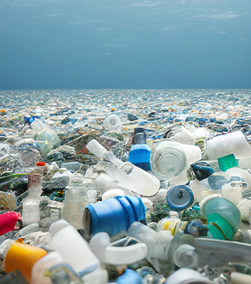 cuidado al medio ambiente